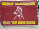 The Mustangs first banner